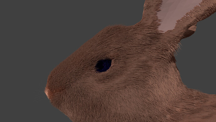 Rabbit_head