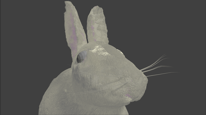 rabbit_18mm