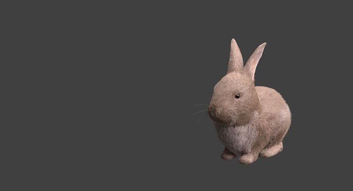 Bunny_009