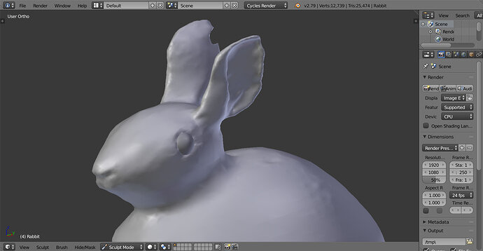 Rabbit%20test
