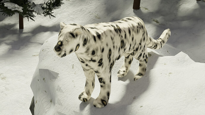 Snow leopard render close