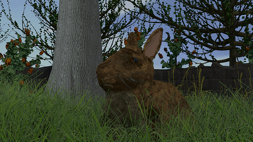 Rabbit_720_S150_006