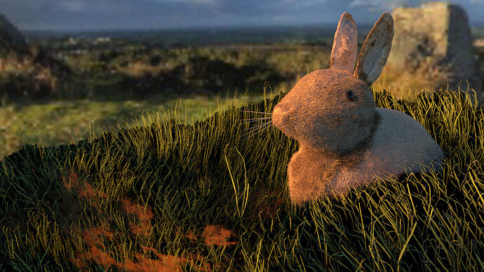 rabbit-grass