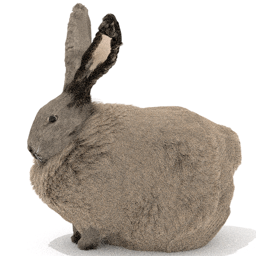 rabbittest8