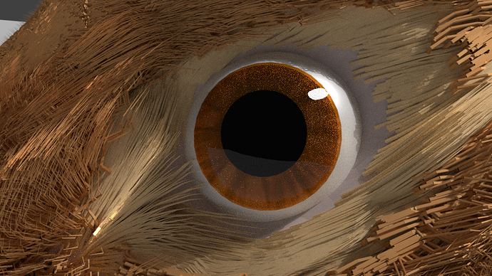 Eye_Cam