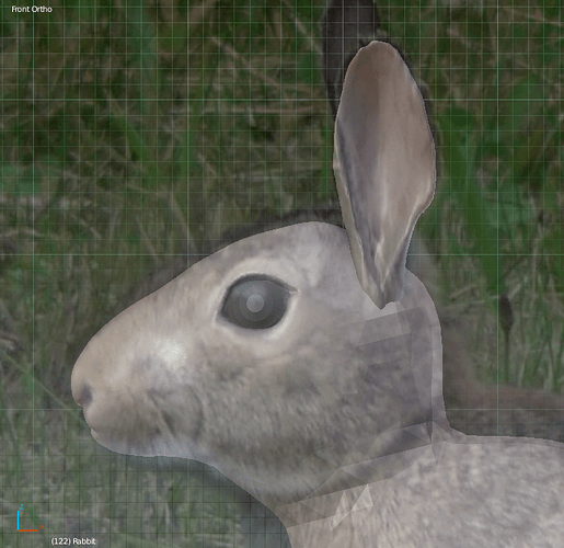 Rabbit%20head%20with%20background%20image