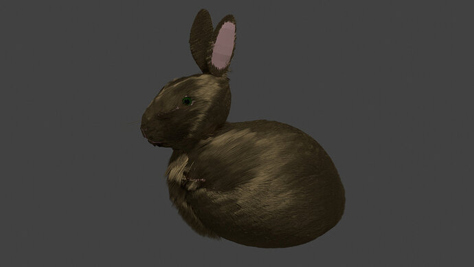BunnyFluffBrown5