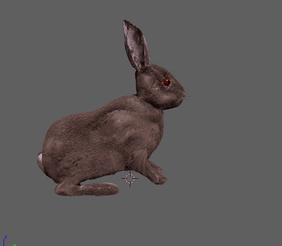Rabbit_furred03