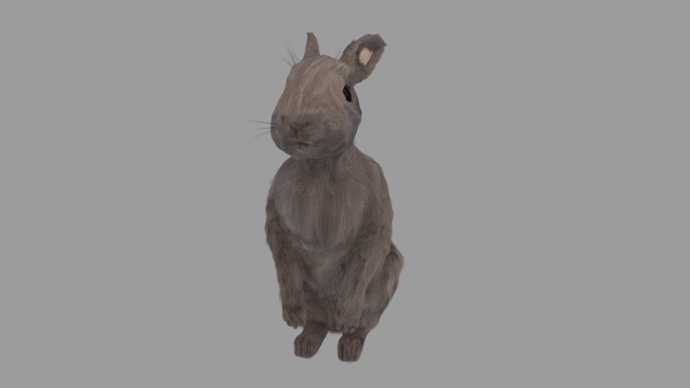 rabbit%204