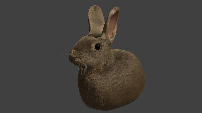 Rabbit_render_06