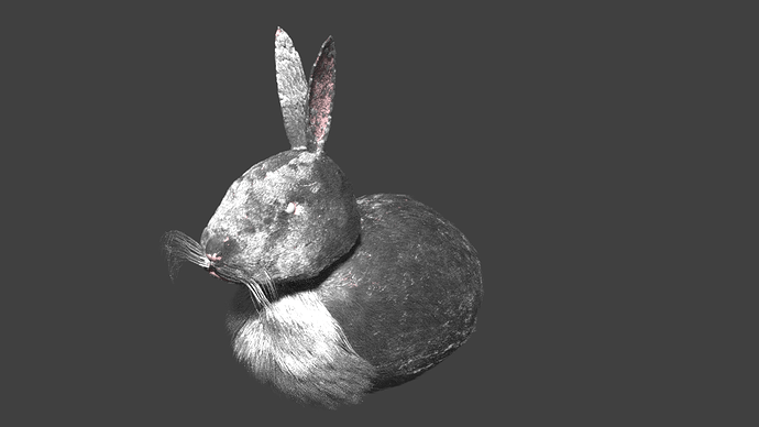 Rabbit%20with%20Randomness