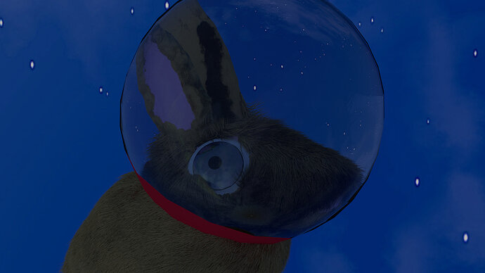Rabbit%20Space%204png