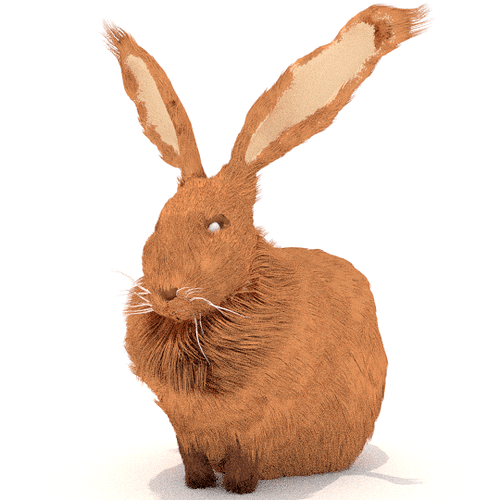 rabbitfur17