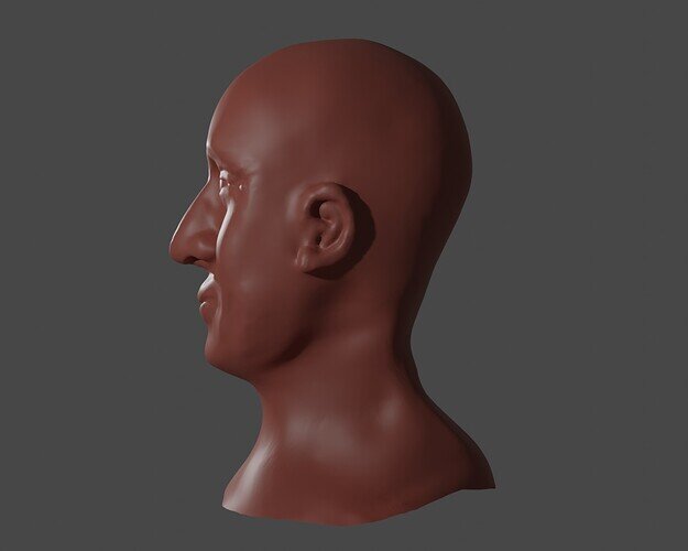 Head sculpting1