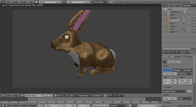 Rabbit3