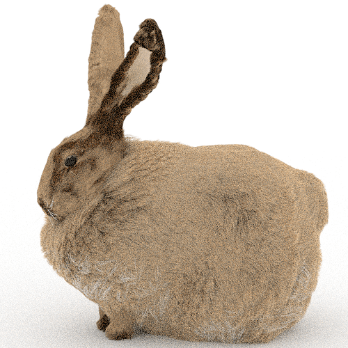 rabbittest11