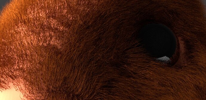 closeUpBunnyFace