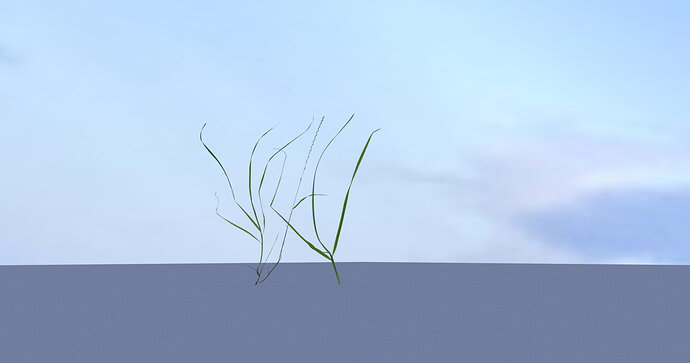 grass