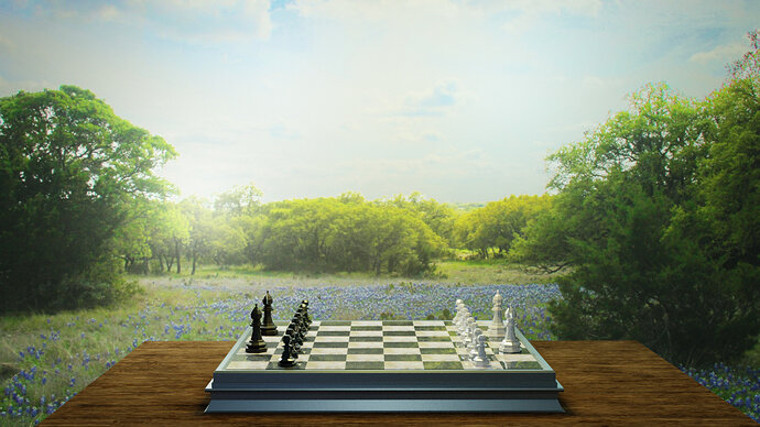 Chess_Field_Cycles_08.20