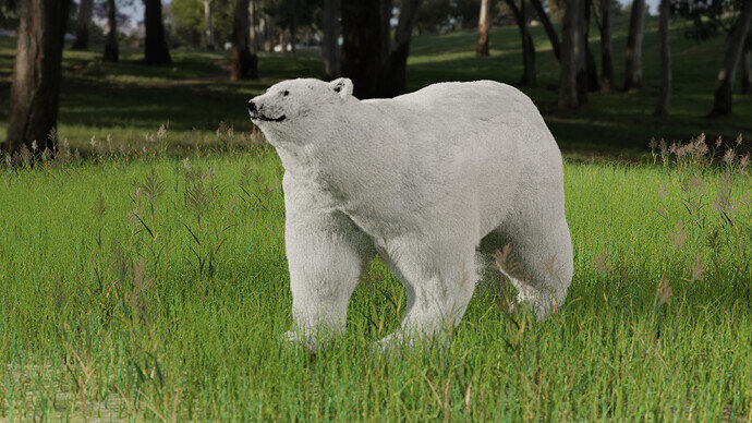 Polar Bear 6