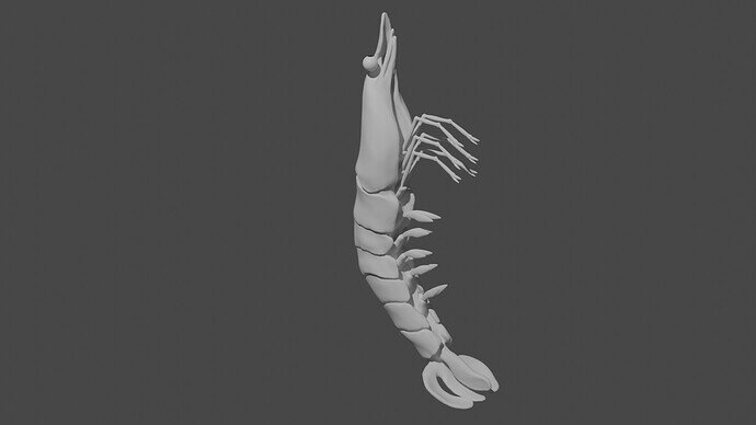 shrimp_sculpt