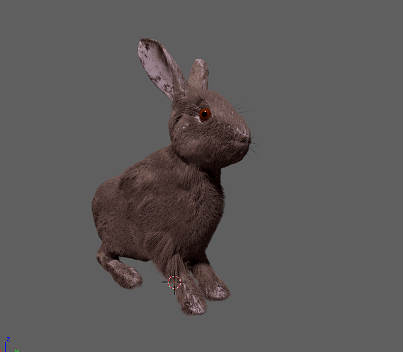 Rabbit_furred04