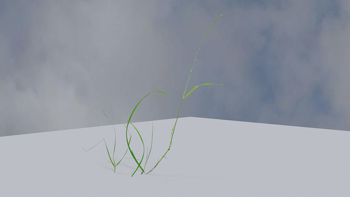 The first grass