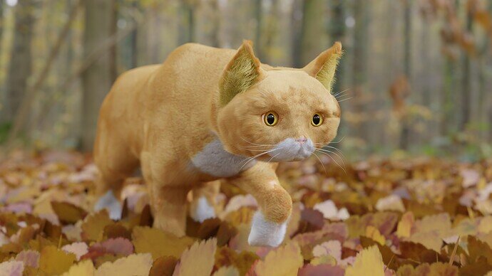 blender cat autumn
