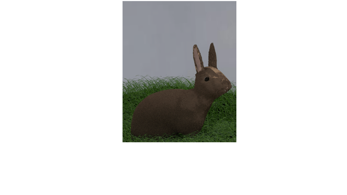 Rabbit%20and%20grass