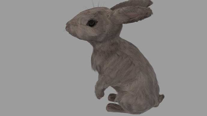 rabbit%202