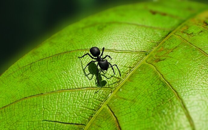 Rough_environment_render_5