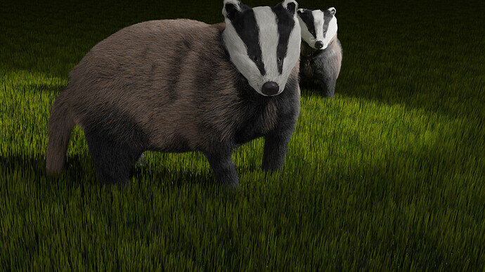 Badgers - Contest entry