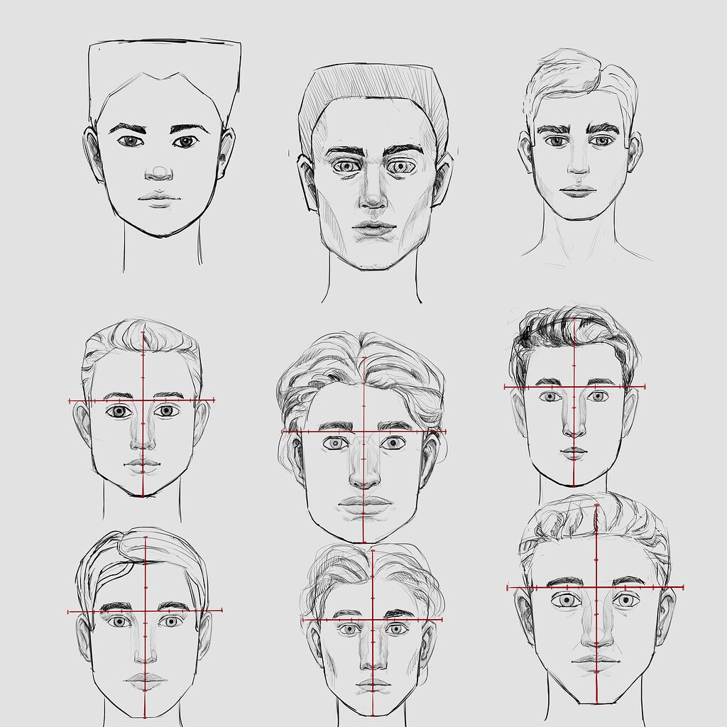 Face Proportions Front View - Show - Gamedev.tv