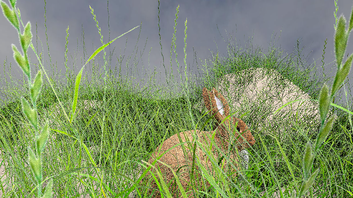 Rabbit grass test2