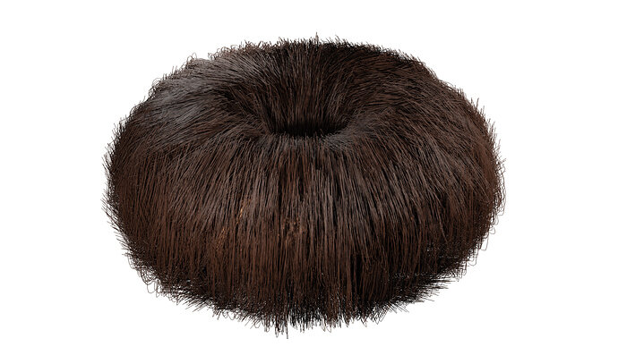 Hairy Donut