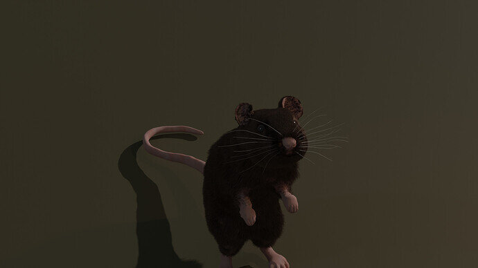 Ratty 2