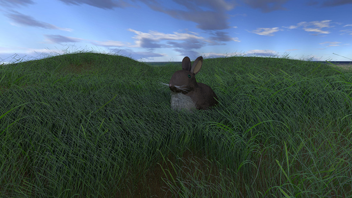 Bunny%20in%20grass