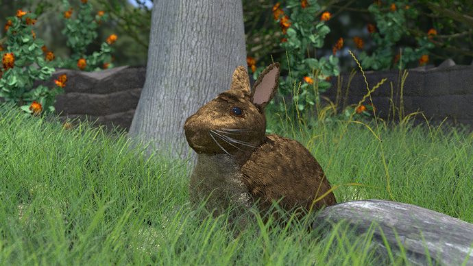 Rabbit_720_DOF_S250_001