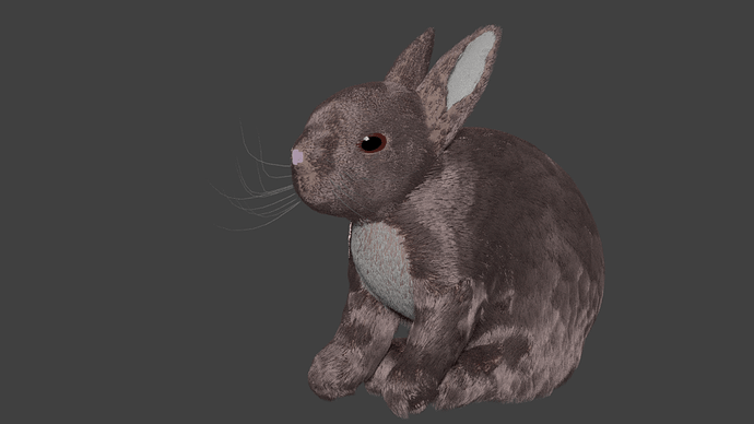 bunny%20with%20brown%20eyes