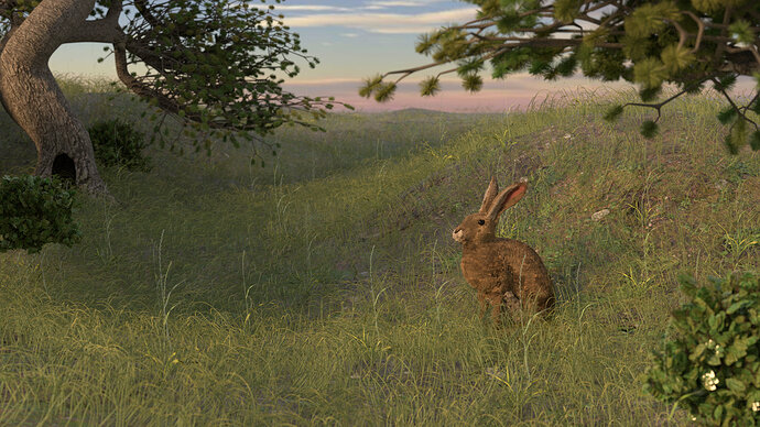 hare%20in%20field%20with%20tree%20and%20bushes