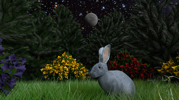 Rabbit_Test