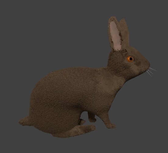 Rabbit%20eyes