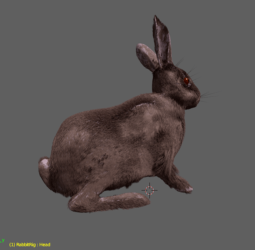 Rabbit_furred02