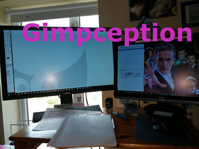 gimpception