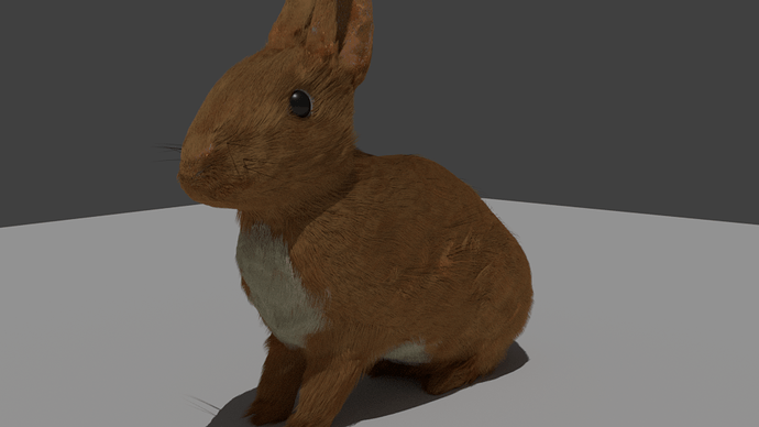 Rabbit-hair-5-randomize