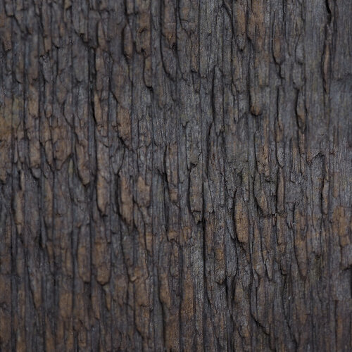 RoughWood1Diffuse