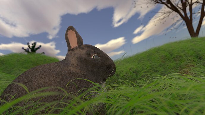 Rabbit_Final