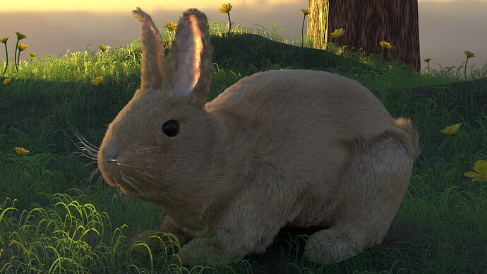 Bunny_Scene_Yellow_Field2