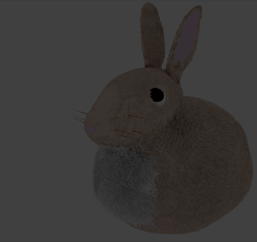 Bunny