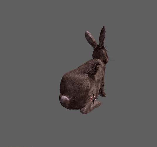 Rabbit_furred01